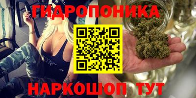 Альфа ПВП Будённовск